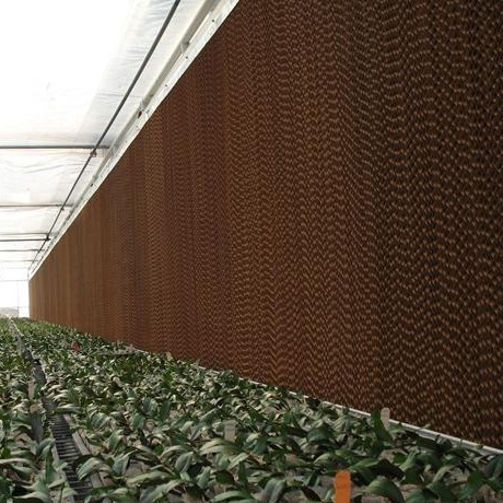 遼寧東莞水簾紙廠家直銷