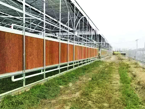 养殖场降温解决方案
