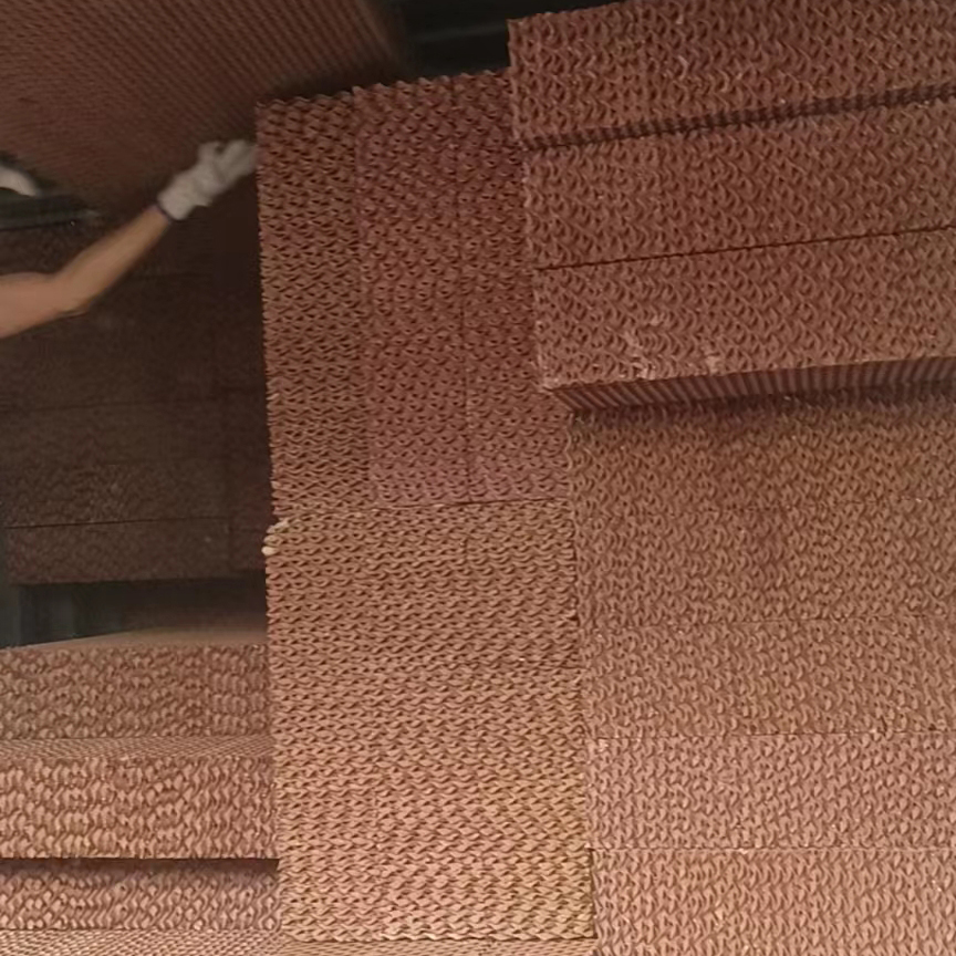 來賓降溫水簾紙