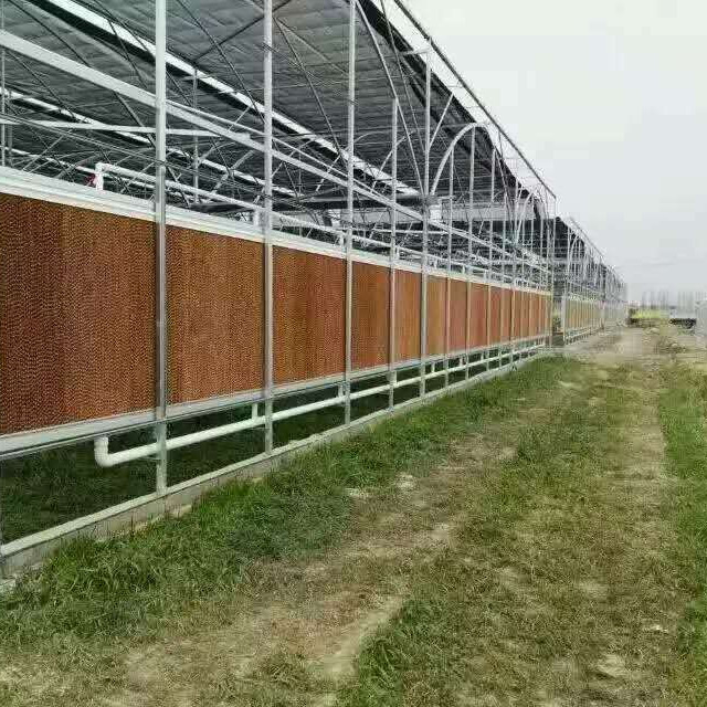 德陽東莞水簾紙供應商